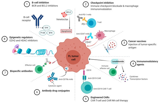 Novel targeted therapeutic classes in follicular lymphoma. (OA Literature)